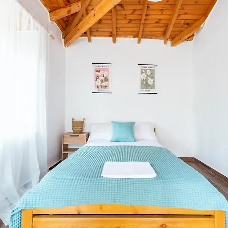Tatil Evi House 1907
